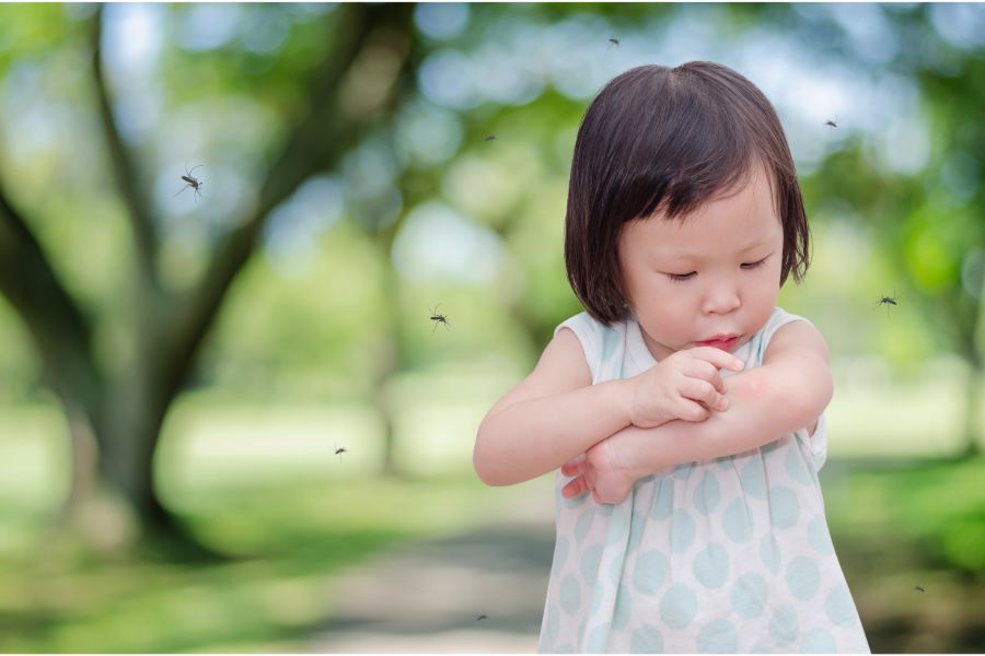 How to prevent mosquito bites in Lubbock TX? D's Pest Control