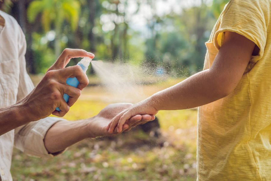 DIY Mosquito Treatment Options in Lubbock TX? D's Pest Control