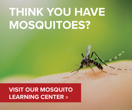 Mosquito Learning Center; D's Pest Control