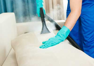 How to Get Rid of Bed Bugs in Lubbock TX; D's Pest Control -Bed Bug Exterminators