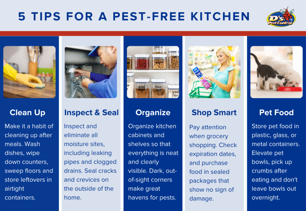 Infographic on preventing pests in your kitchen - D's Pest Control